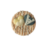Koek bonbon - Trouwen 