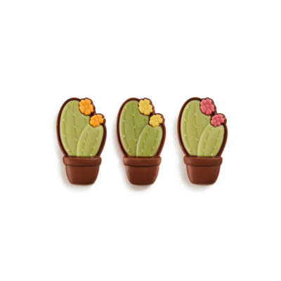Chocolade cactus (Melk) 