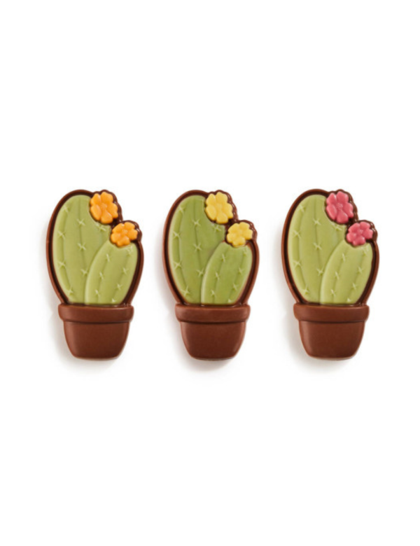 Chocolade cactus (Melk) 
